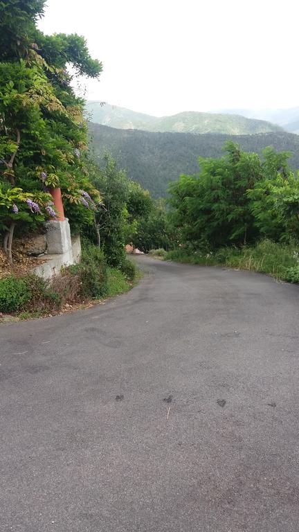 Olivella Caminata N 41G Apartment Casarza Ligure Bagian luar foto