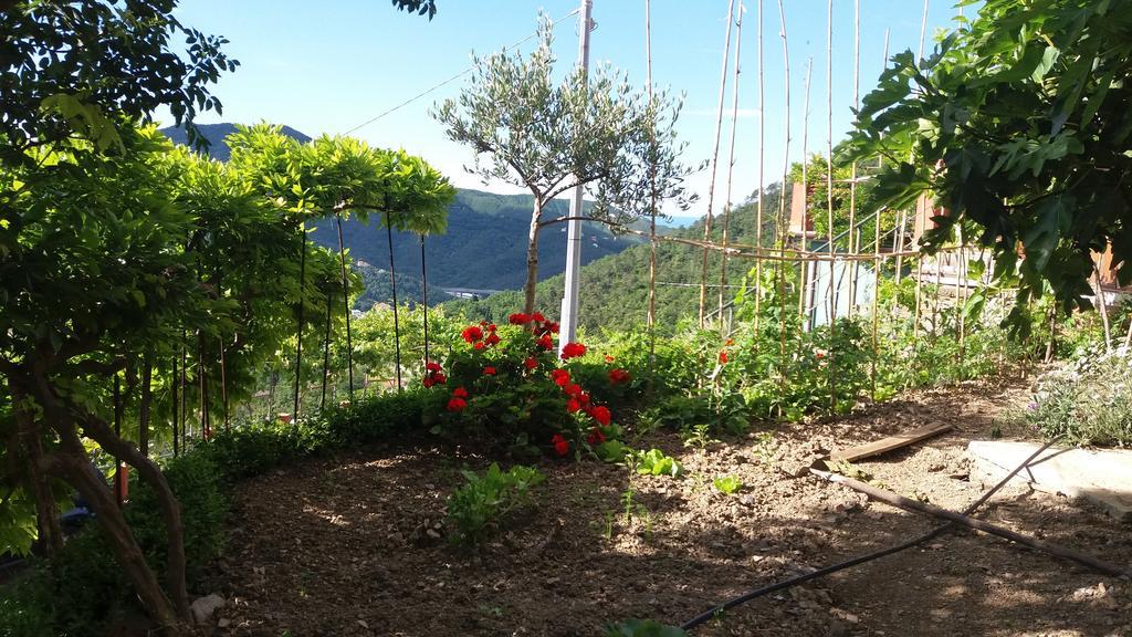 Olivella Caminata N 41G Apartment Casarza Ligure Bagian luar foto