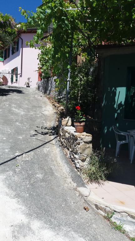 Olivella Caminata N 41G Apartment Casarza Ligure Bagian luar foto